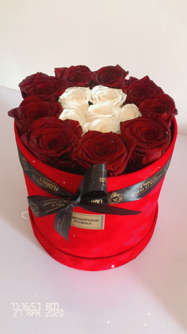 MEDIUM ROUND VELVET BOX OF ETERNITY ROSES