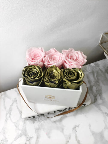 BOX OF 6 ROSES IN A WHITE BOX